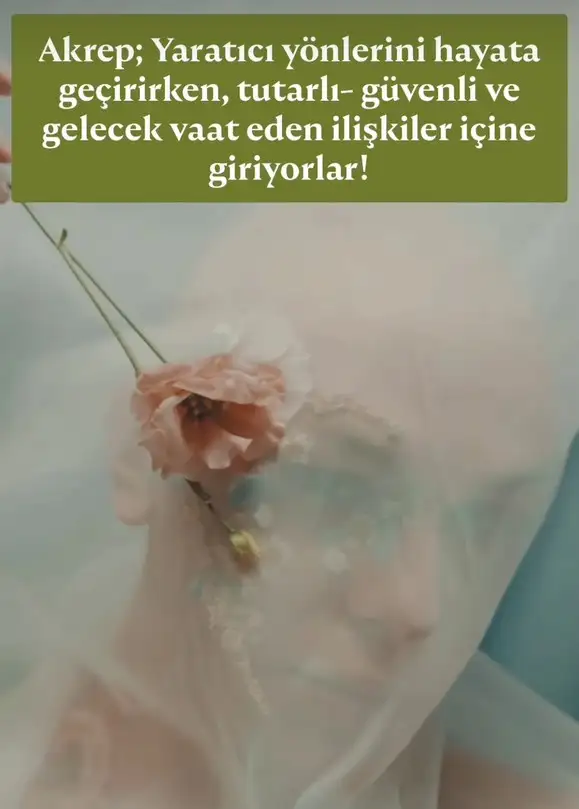 yıllık8 (9).webp