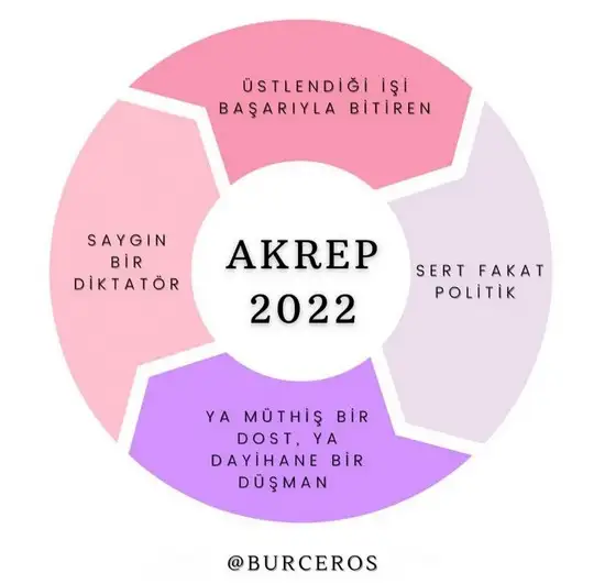 yıllık81 (8).webp