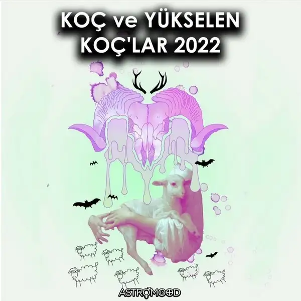 yıllık82 (1).webp