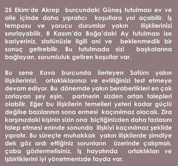yıllık82 (29).webp