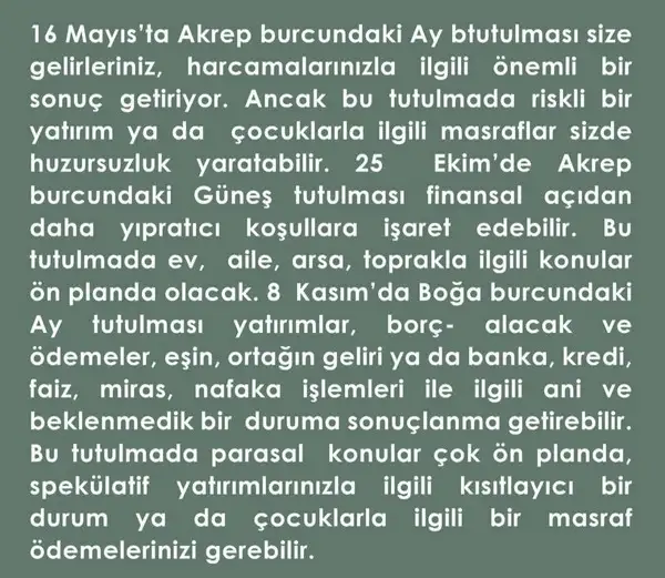 yıllık82 (42).webp