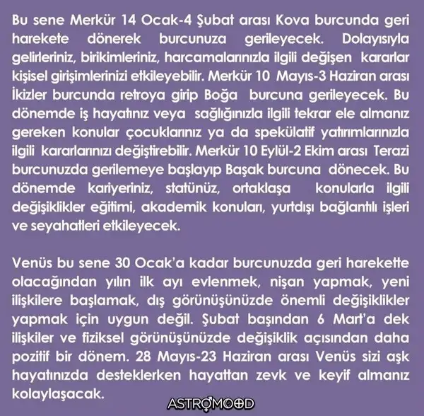 yıllık82 (65).webp