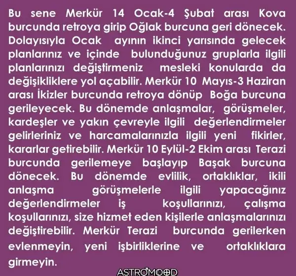 yıllık82 (7).webp