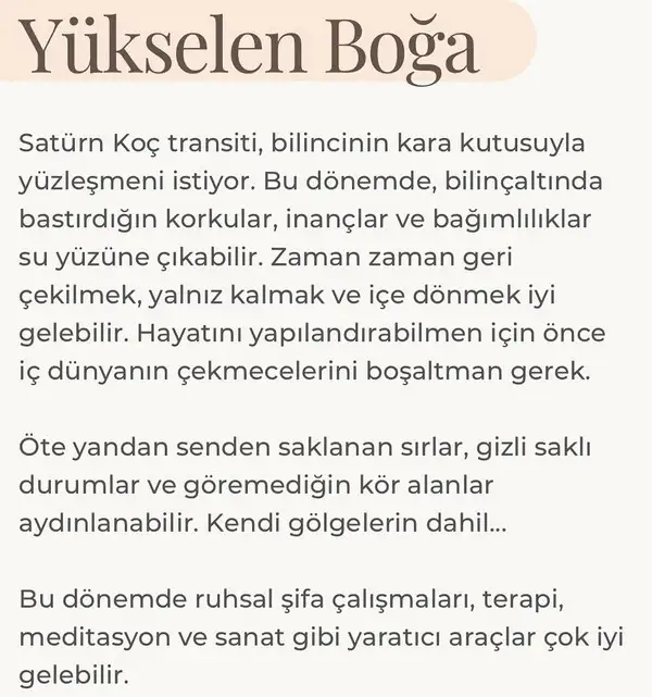 yıllık87 (22).webp