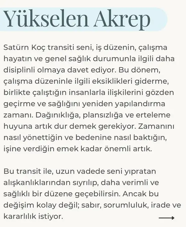 yıllık87 (5).webp