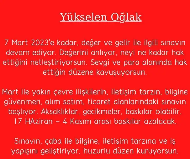 yıllık9 (11).webp