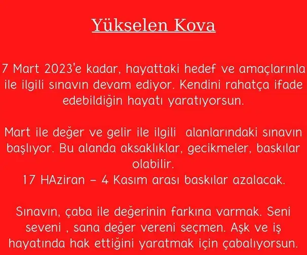 yıllık9 (12).webp