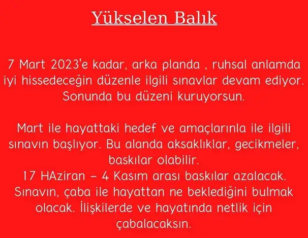 yıllık9 (13).webp
