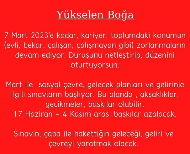 yıllık9 (3).webp