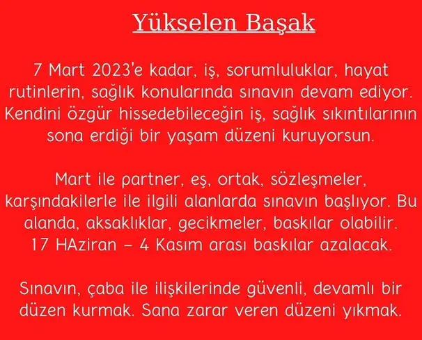 yıllık9 (7).webp