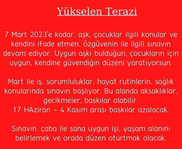 yıllık9 (8).webp