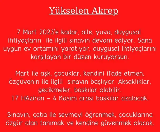 yıllık9 (9).webp