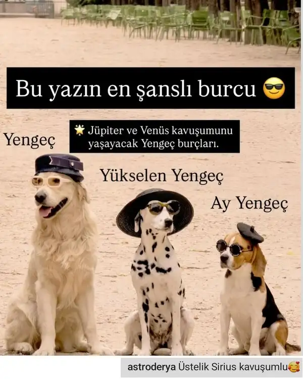 yıllk.webp