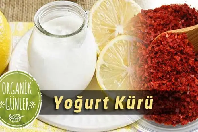 yogurt-kuru-728x410-1-696x464.webp