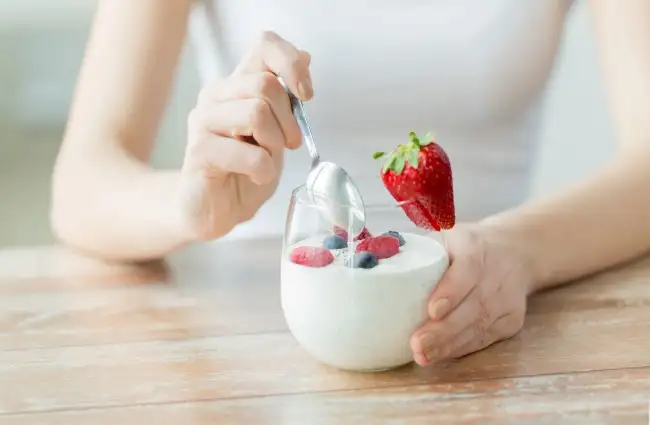 yogurt.webp