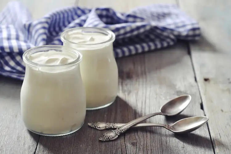 yogurt_diyeti_gobek_eritme.webp