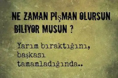 yrm.webp