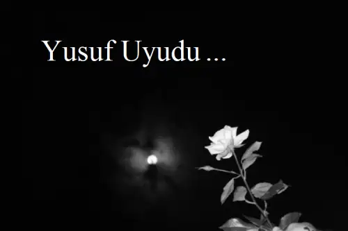 YSF.webp