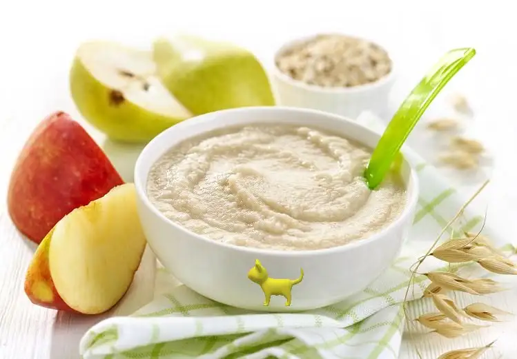 Yulaf-unlu-bebek-maması-8-ay-ve-sonrası-bebekler-için.webp