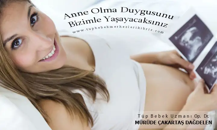 yumurta-toplama-islemi.webp