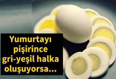 yumurta_gri_halka.webp