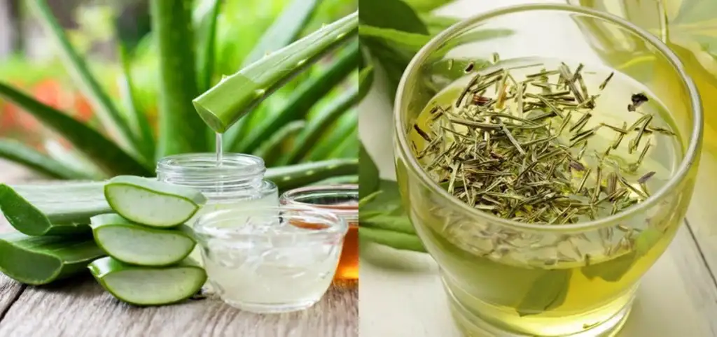 cil_maskesi_aloe_vera_yesil_cay