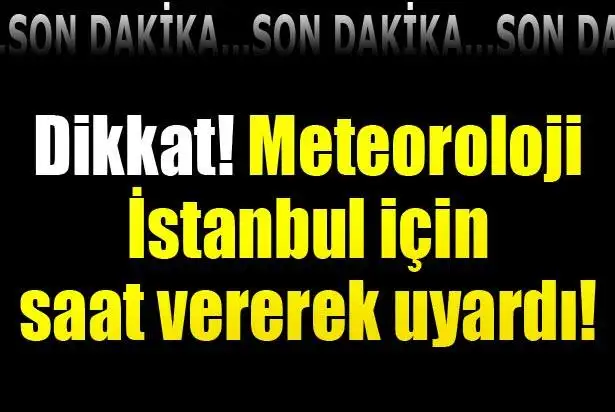 yyı.webp
