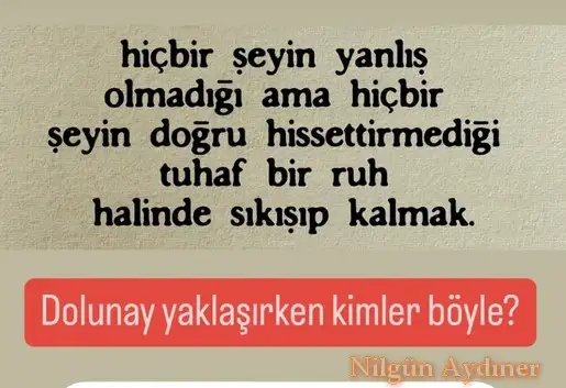 yyy (1).webp