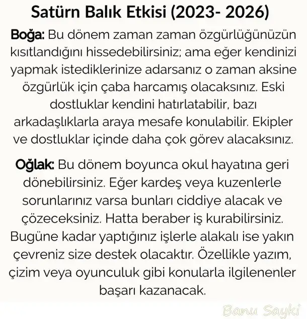 z satürn65 (2).webp