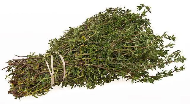 Z3E_Kanserin-Korkulu-Ruyasi-KEKiK.webp