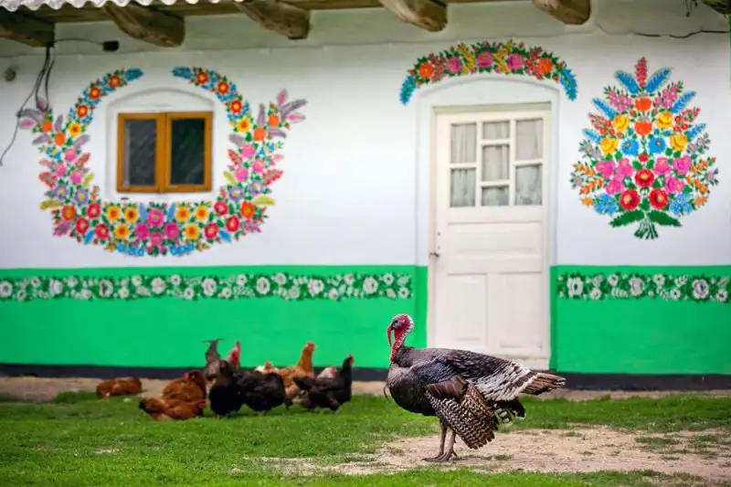 zalipie_poland_painted_village_flowers_16.webp