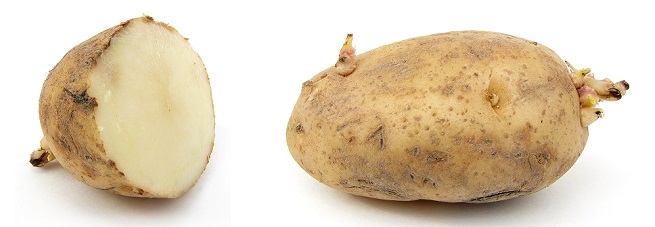 zararli-patates.jpg