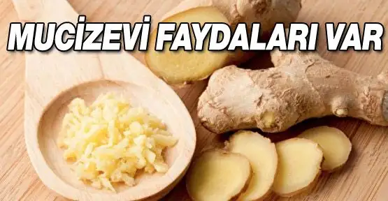zencefilin_gun_yuzune_cikmamis_faydalari_h503.webp