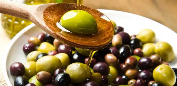 zeytin_-620x304.webp