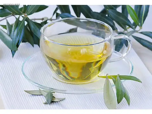 zeytin_yapragi_kilo_verme.jpg