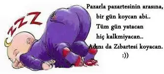 zıı.webp