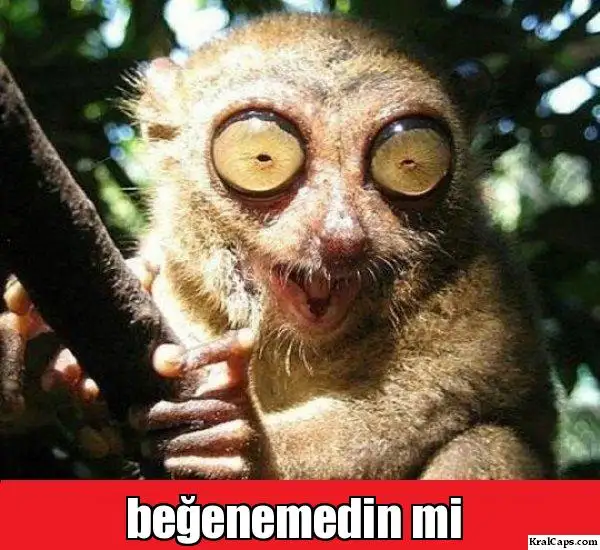 zikgqu.webp