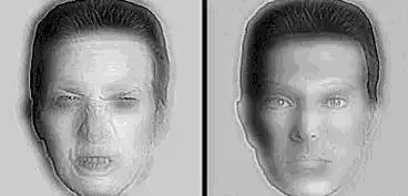 $bakmak ve görmek.webp