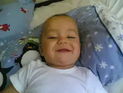 $03082006(003).webp