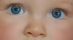 $172696141_bc2563f295_m.webp