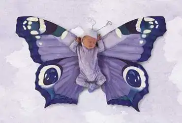 $anne_geddes_schmetterling.webp