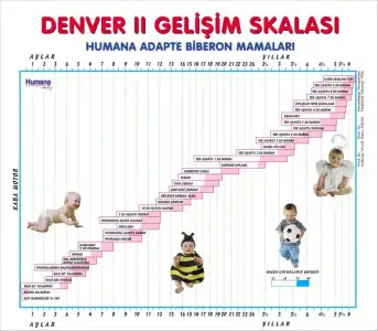 $denverll-4.webp