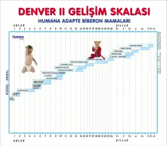 $denverll-1.webp