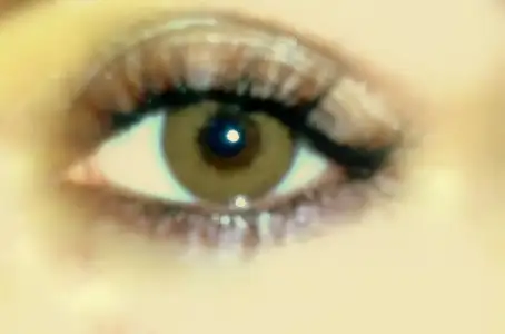 $09072011276.webp