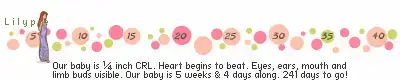 $wO6bp3.webp