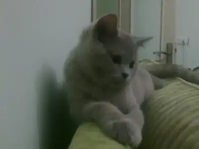 $05042011209.webp