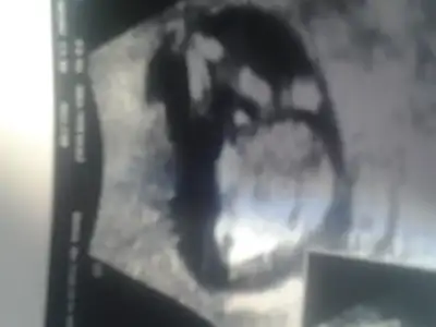 2015-02-10 10.14.47.webp