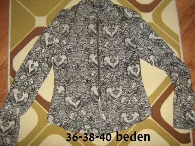 d3.webp