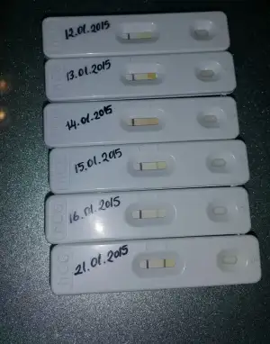 2015-02-22 22.37.51.webp