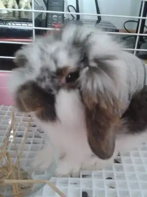 20150225_134048.webp